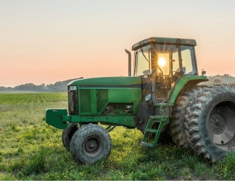Unlocking Opportunities: Toowoomba's Agricultural Diversity