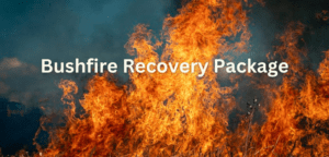 Southern Queensland to Receive $6 Million Bushfire Recovery Package