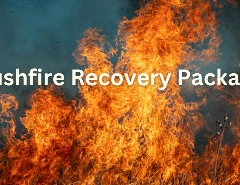 Southern Queensland to Receive $6 Million Bushfire Recovery Package