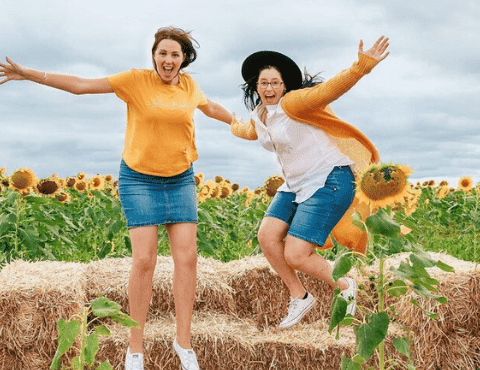 Blooming Splendour: Kalbar Sunflower Festival 2024