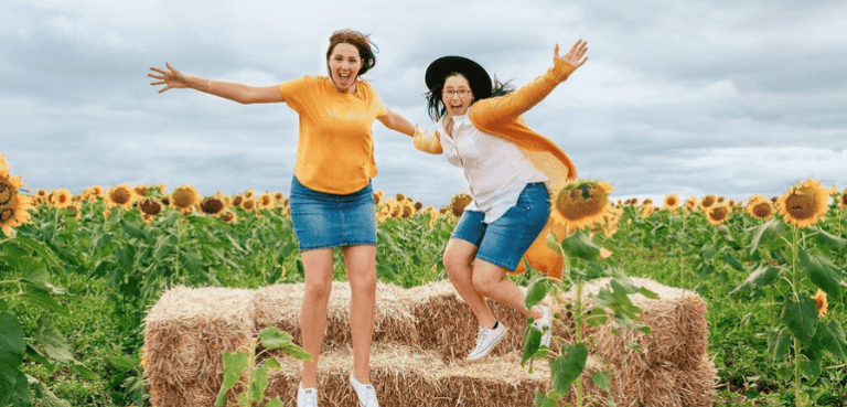 Blooming Splendour: Kalbar Sunflower Festival 2024