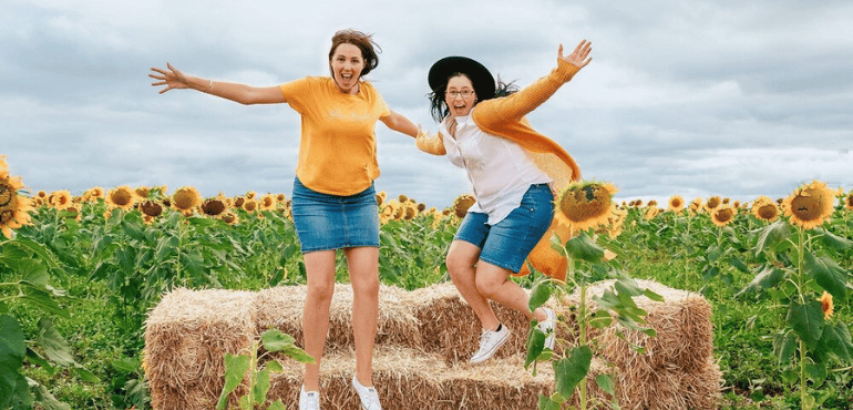 Blooming Splendour: Kalbar Sunflower Festival 2024