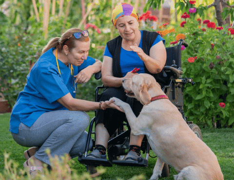 Bridging Gaps in Palliative Care for Australians