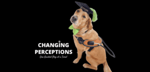 Changing Perceptions, One Guided Step at a Time