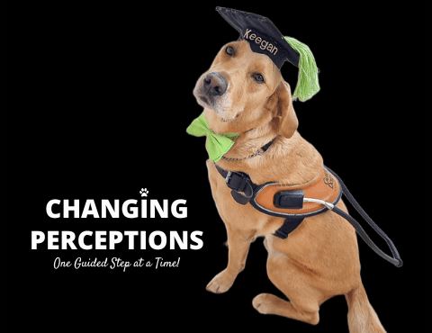 Changing Perceptions, One Guided Step at a Time