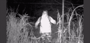 Appeal for information: Break and enter, Withcott