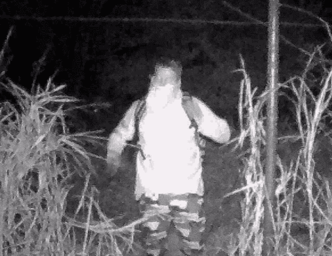 Appeal for information: Break and enter, Withcott