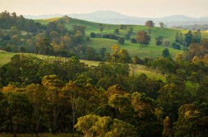 https://www.tr.qld.gov.au/about-council/news-publications/media-releases/16301-trc-approves-measure-to-protect-regions-significant-vegetation
