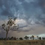 https://unsplash.com/photos/trees-under-grey-sky-SV2dzzZSkf4